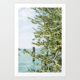 Olive tree by the turquoise ocean | Travel photography Italy | Fine art photo print Art Print