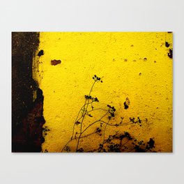 Minimal flora - Yellow wall and flowers Canvas Print