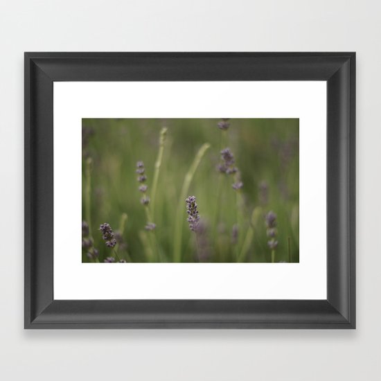 Purple Framed Art Print