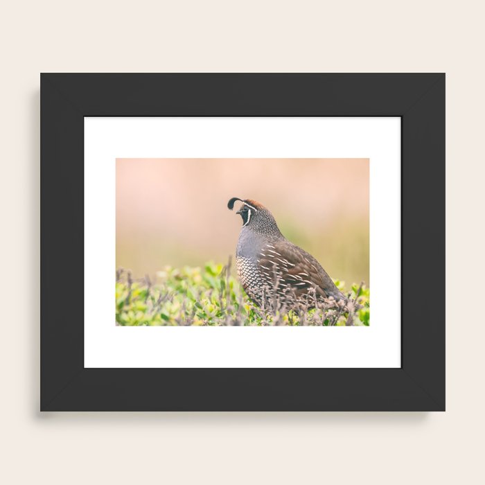 Framed Art Print