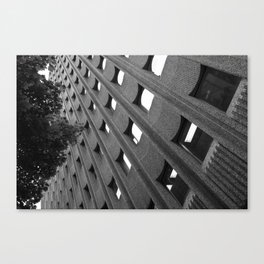 The cheese grater Canvas Print