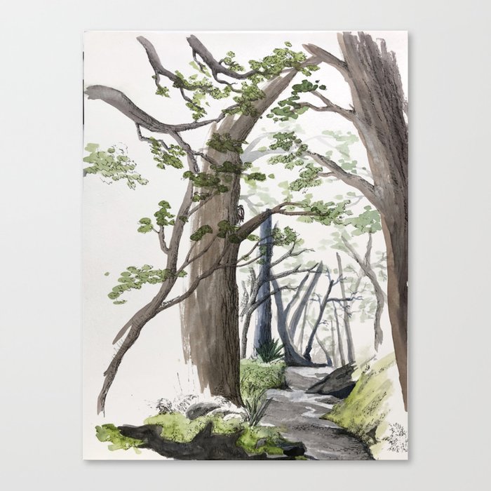 forest bath Canvas Print