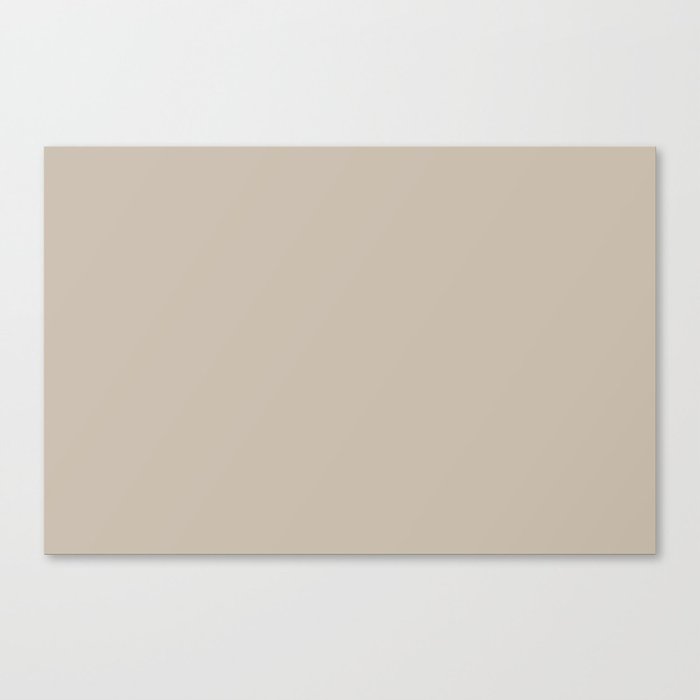 Pale Tan Single Solid Color Coordinates with PPG Stonington PPG15-25 Down To Earth Collection Canvas Print