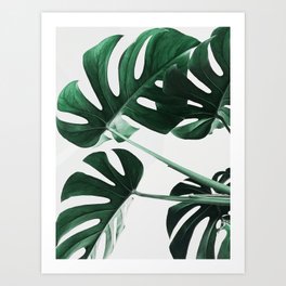Leaf Art Prints Society6