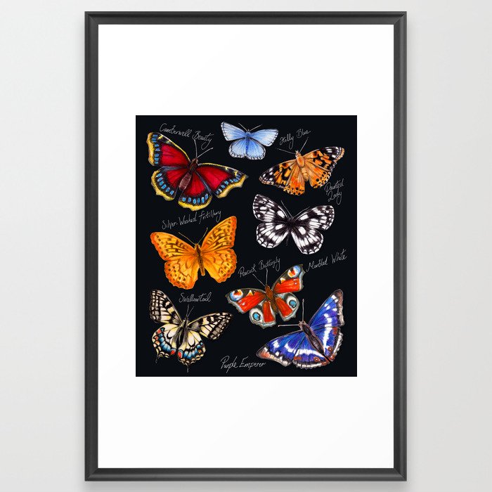 Butterflies On Black Framed Art Print