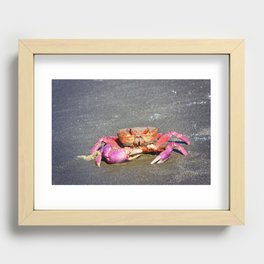 A Little Crabby Recessed Framed Print