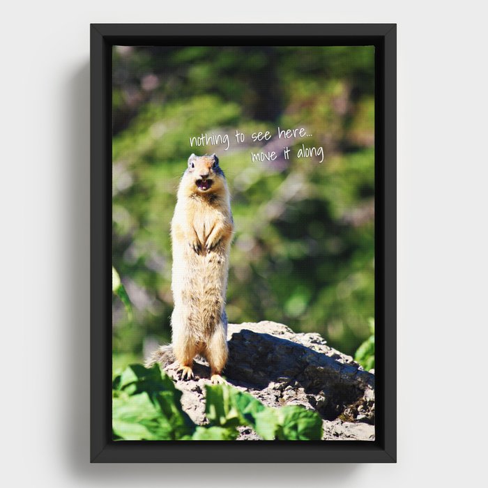 Angry Squirrel Has A Friend Framed Canvas