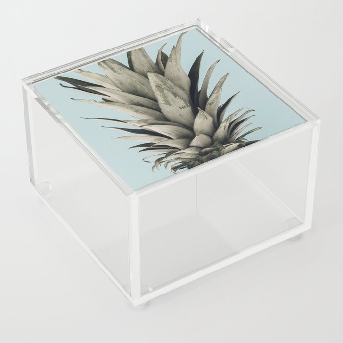 Pineapple Tropic Acrylic Box