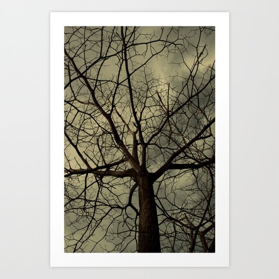 Branched Art Print