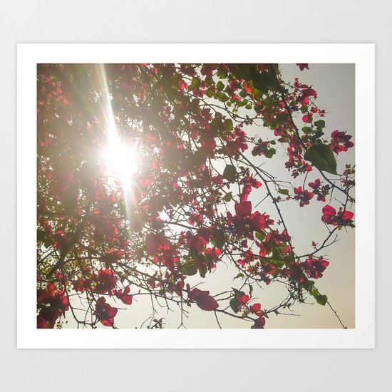 Bright Morning Art Print