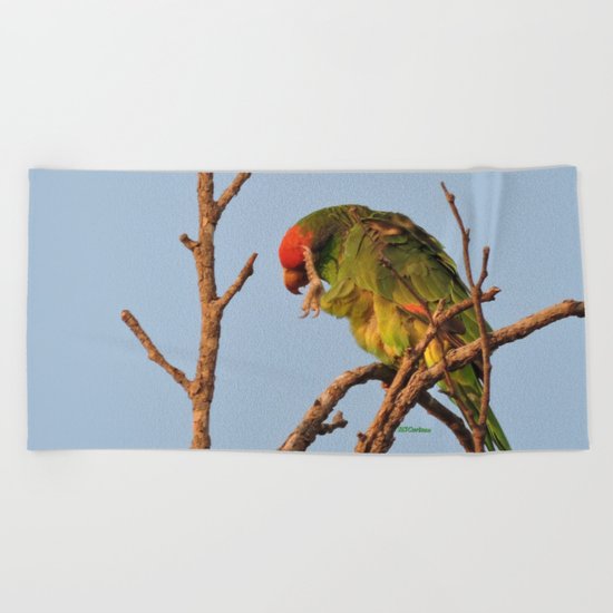 Now, Let Me Think Beach Towel