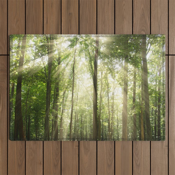 Sun Rays Through Forest Treetops Nature / Botanical Landscape Photograph Outdoor Rug