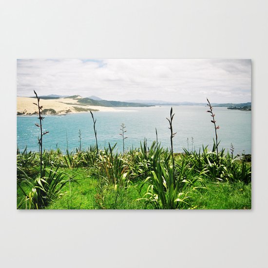 Opononi Canvas Print