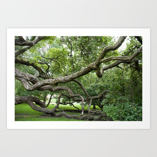 adapt or perish Art Print