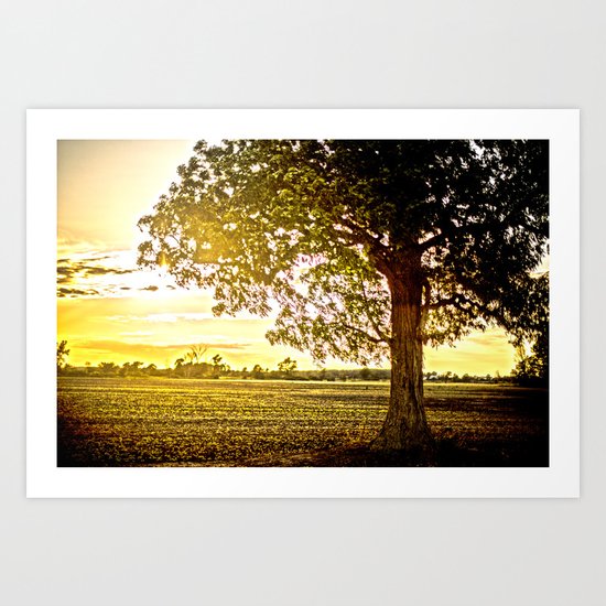 Golden Departure Art Print