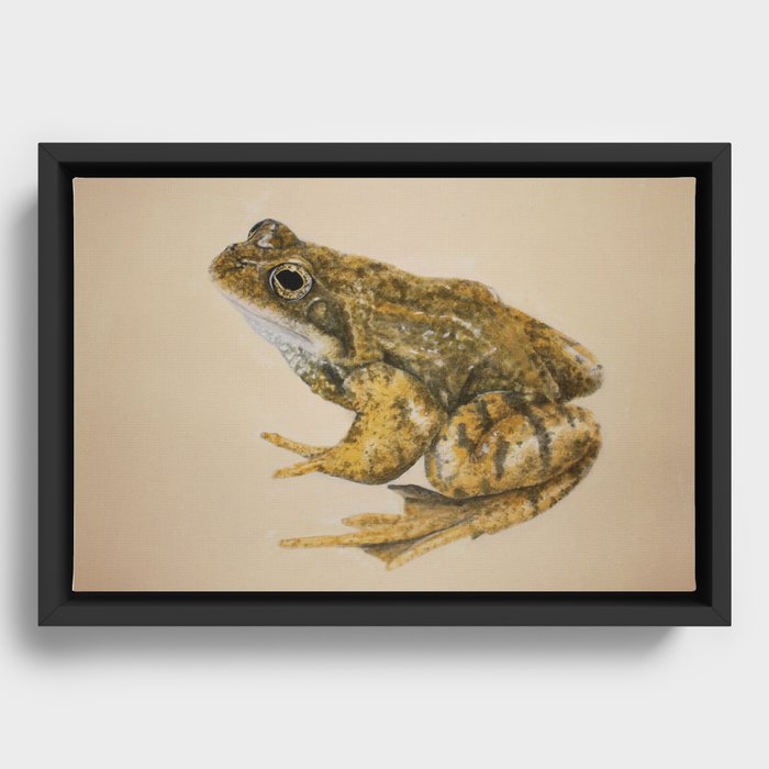  frog Framed Canvas
