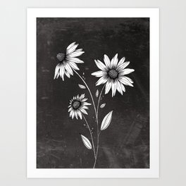Wildflowers Ink Drawing | Black Background Art Print