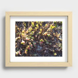 Spring in the Sierras - Nature and Landscape Photography Recessed Framed Print