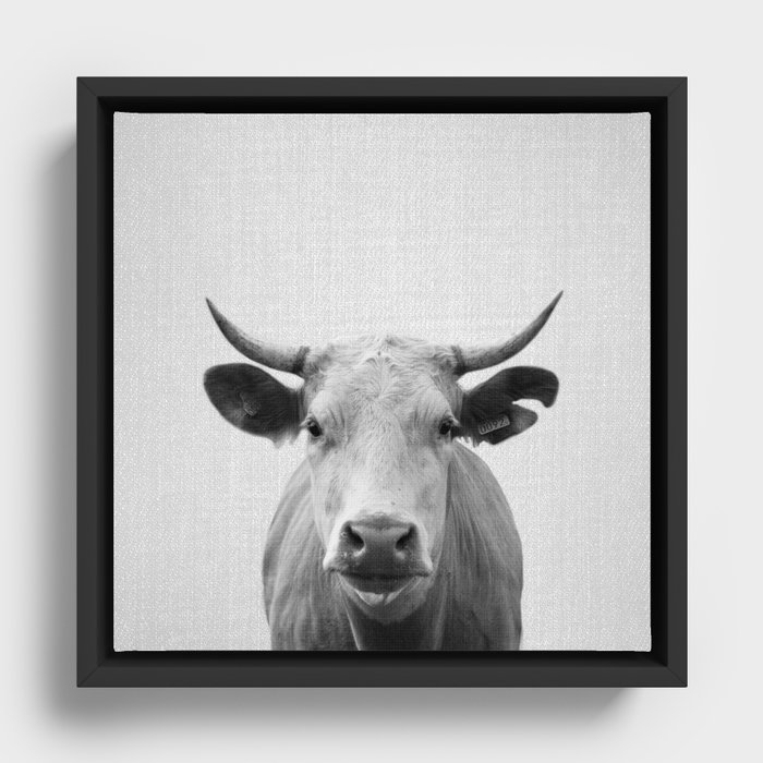 Framed Canvas