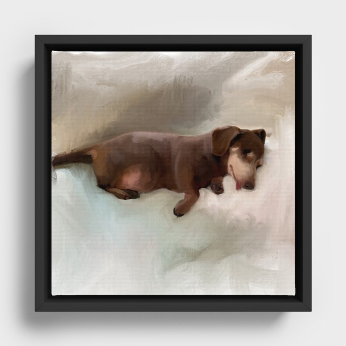 Flo the sleeping dachshund Framed Canvas