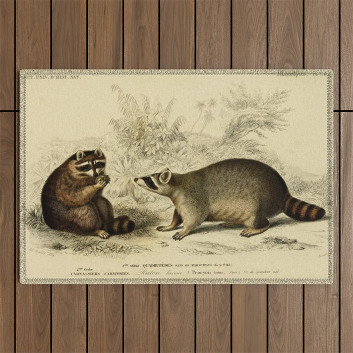 Naturalist Raccoons Outdoor Rug