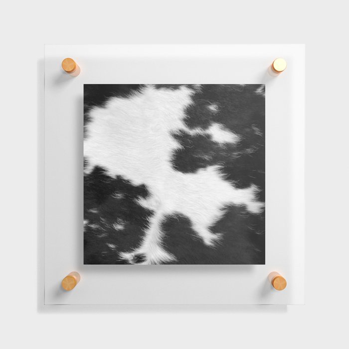 Black and White Cowhide Hygge  Floating Acrylic Print
