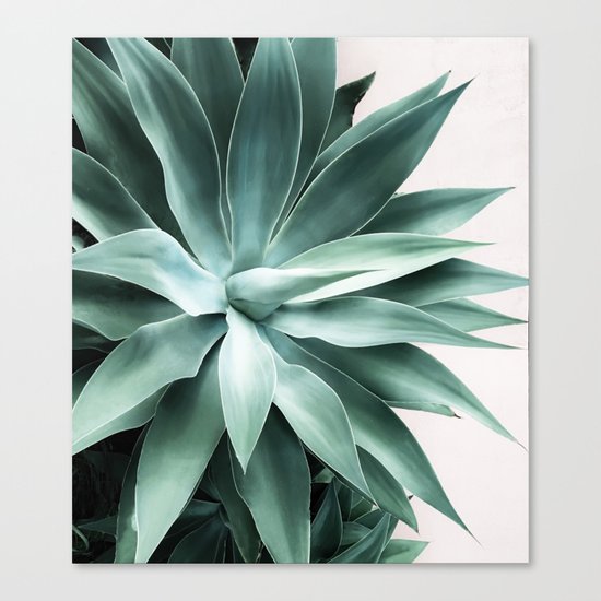 Bursting into life Canvas Print