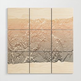 Canyonlands National Park Topographic Map Stylized Line Art - Utah Copper Wood Wall Art