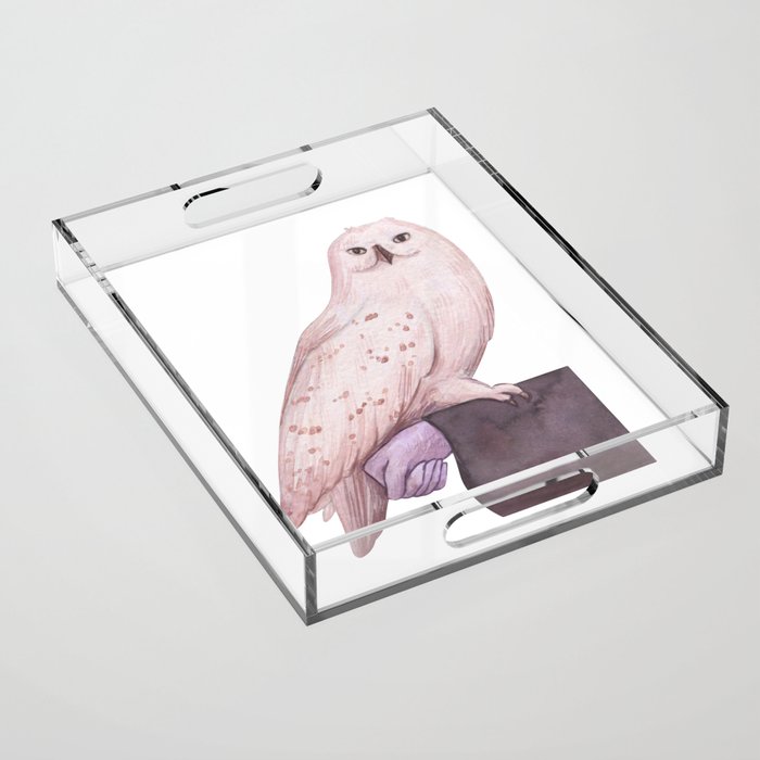 Hedwig Owl Acrylic Tray