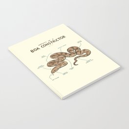 Anatomy of a Boa Constrictor Notebook