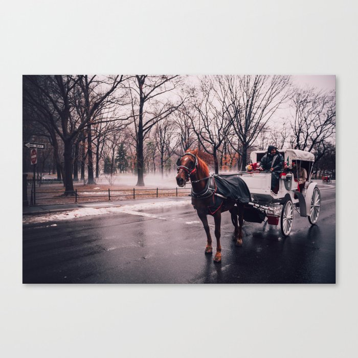 NYC Horse and Carriage Canvas Print