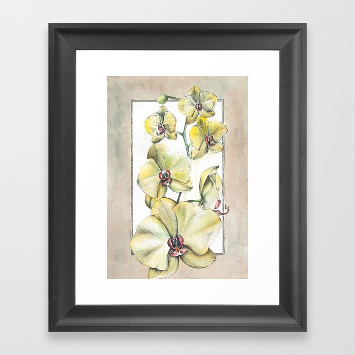 Yellow Orchid Framed Art Print