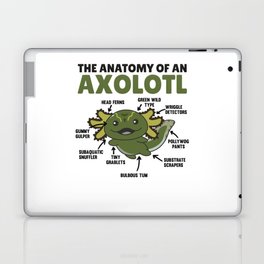 Green Axolotl Explanation Anatomy Of An Axolotl Laptop Skin