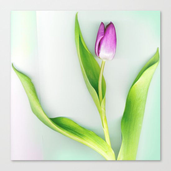Stretch Canvas Print