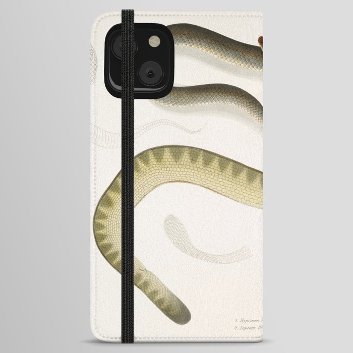 Penang Hypserina & Hardwicke's Short Sea Snake iPhone Wallet Case