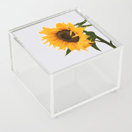 sunflower detail Acrylic Box