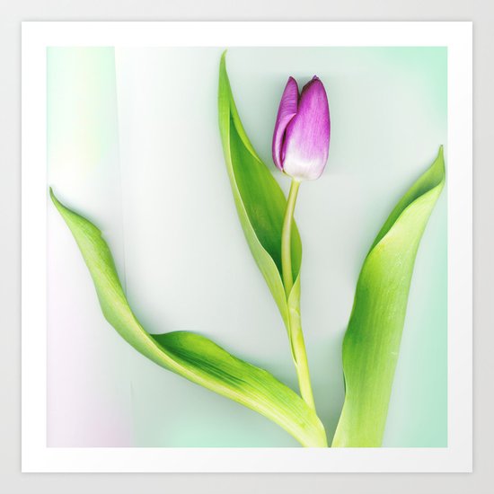 Stretch Art Print