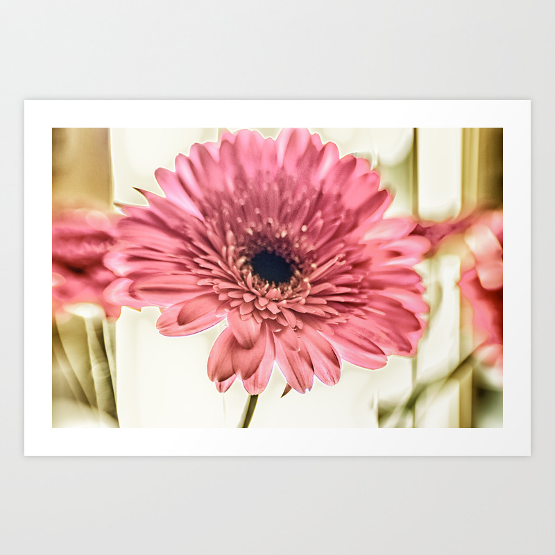 society6