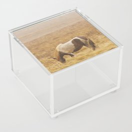 Runaway Acrylic Box