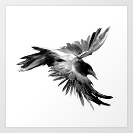 Flying Raven Art Print