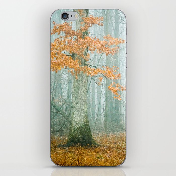 Autumn Woods iPhone Skin
