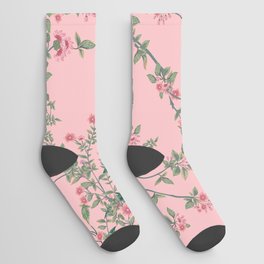 Chinoiserie Pink Fresco Floral Garden Birds Oriental Botanical Socks
