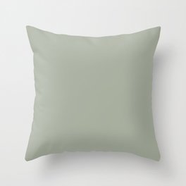 desert sage Throw Pillow