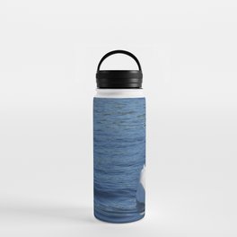 Swan and Swanling Water Bottle