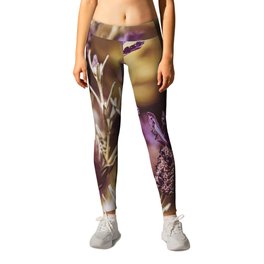 Lavandula stoechas Leggings