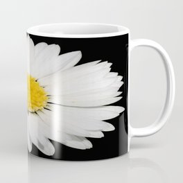 Top View of a White Daisy Isolated on Black Coffee Mug