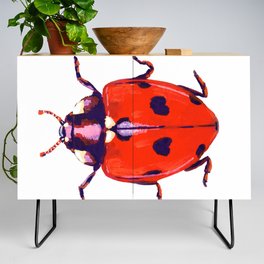 Painted Ladybug Credenza