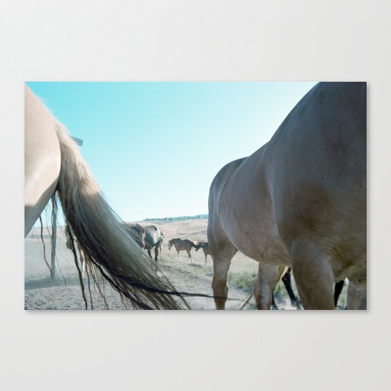 Horsepower Canvas Print