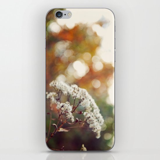 Autumn Fallin' iPhone Skin