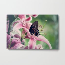 Butterfly & Lily Pink Photograph I Metal Print | Nature, Landscape, Photo 